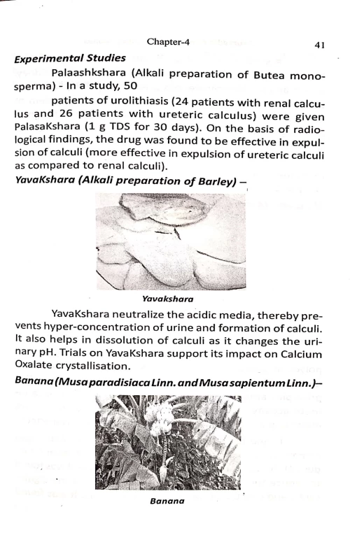 Ayurvedic Remedies for Kidney Stones